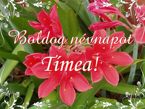 timea névnap|A Tímea névnap eredete és jelentése